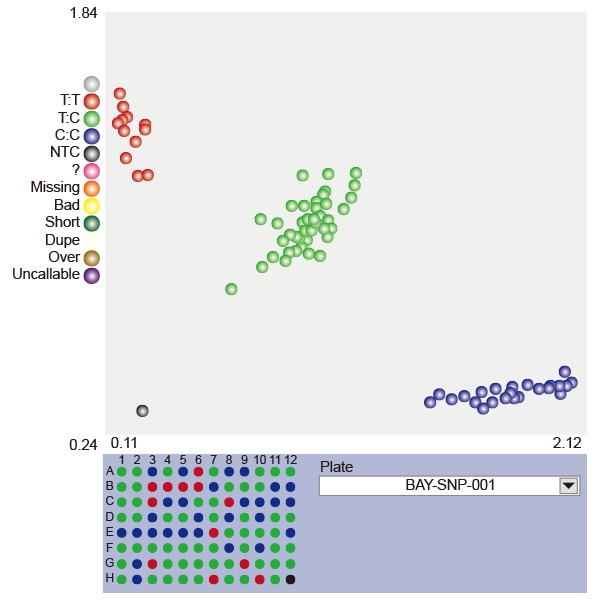 KASP SNP Genotyping Service