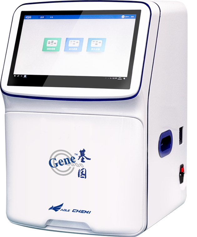 化学发光法蛋白免疫印迹（Western Blot）